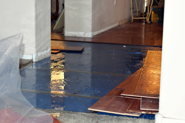 Professional Burst Pipe Cleanup technician working in Gardner, MA